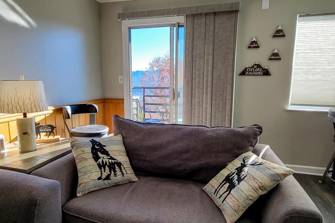 Summit View Condos 蓋特林堡 外观 照片